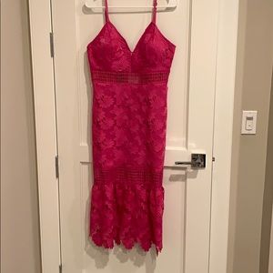 Bebe Taylor Lace Dress